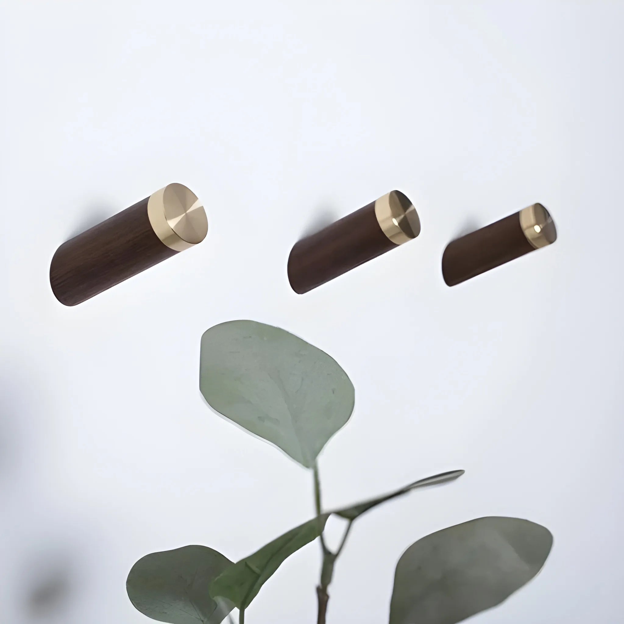 Mantara Flair Hook W-0013 is a natural wood & brass wall hook in walnut with polished finish, ideal for homes & hotels.