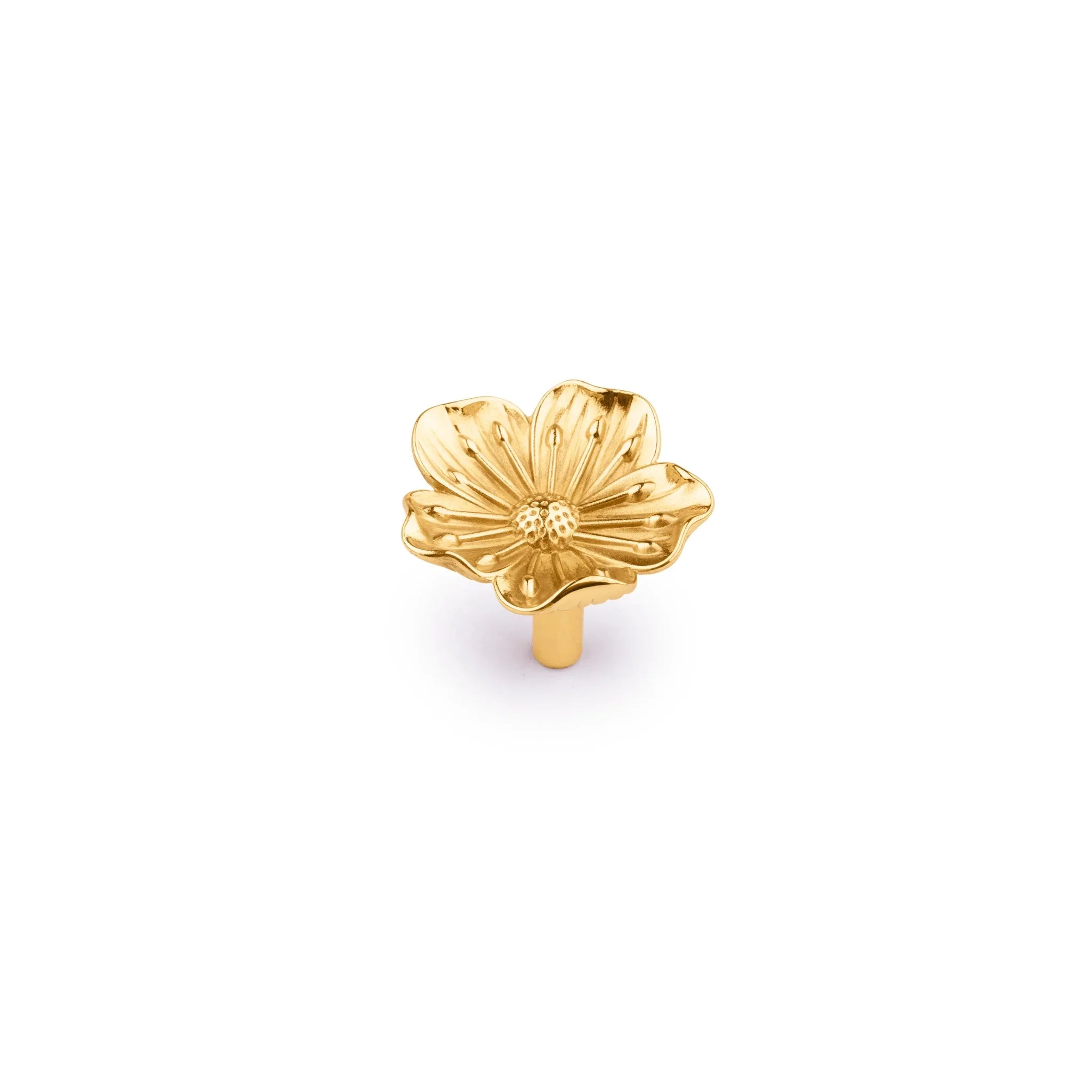 The Mantara B-0018 Flora Knob is a modern polished brass knob in gold, perfect for furniture, drawers, cabinets, and kitchens.