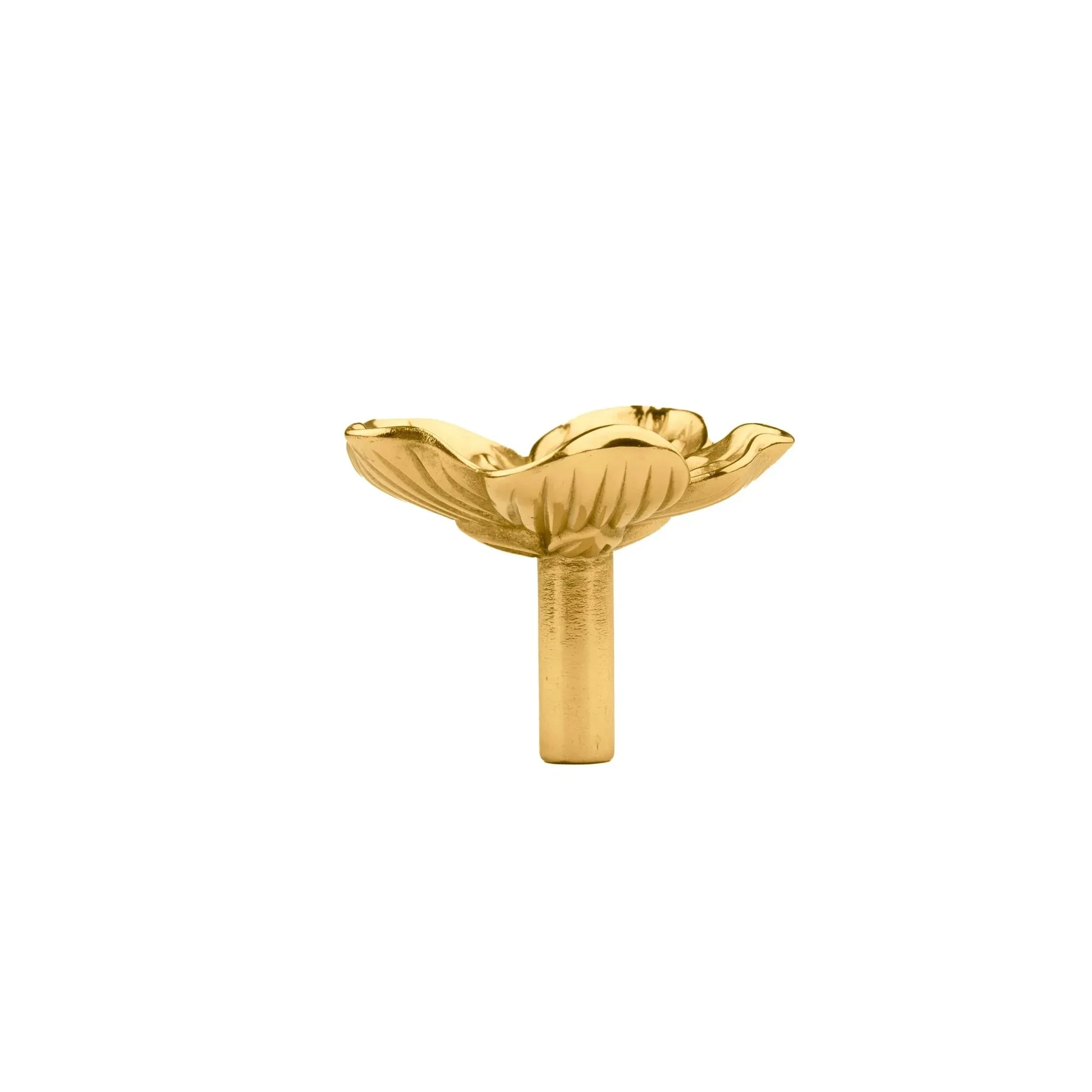 The Mantara B-0018 Flora Knob is a modern polished brass knob in gold, perfect for furniture, drawers, cabinets, and kitchens.
