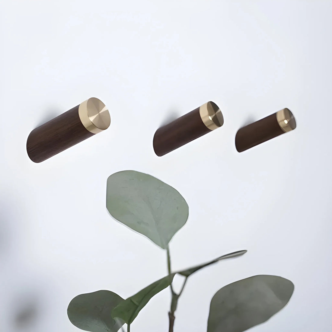 Mantara Flair Hook W-0013 is a natural wood & brass wall hook in walnut with polished finish, ideal for homes & hotels.