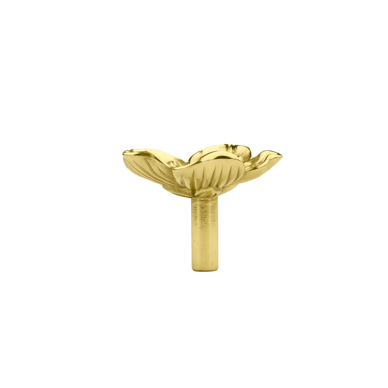 Flora Knob / knobs/kitchen hardware/cabinet hardware/hardware knobs/antique brass wardrobe knobs
 / Gold / Brass - M A N T A R A