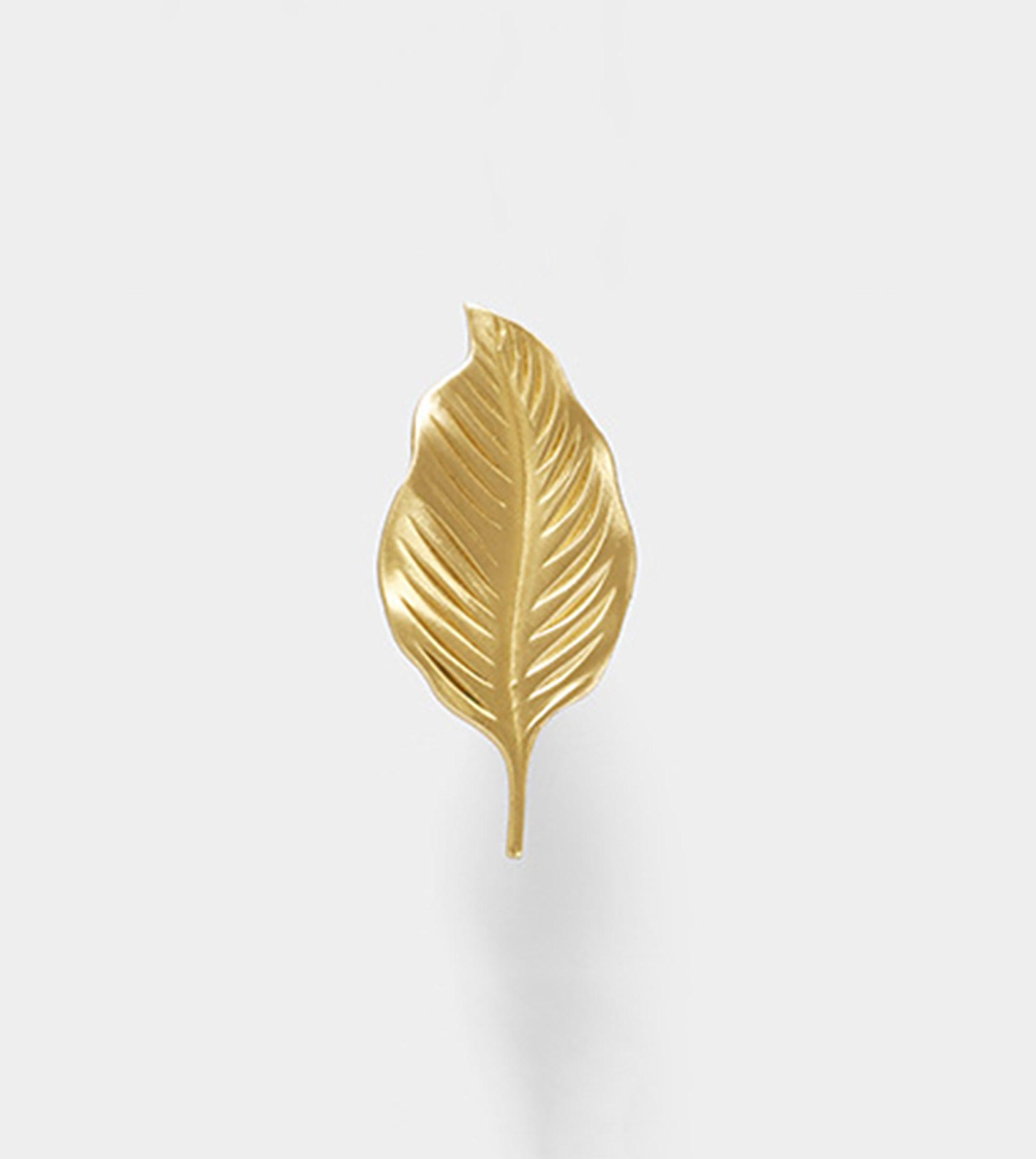 Ilai Knob Knob 65mm / Gold / Brass - M A N T A R A