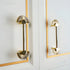 Mantara Palm Knob B-0085 is a modern polished brass knob in gold, perfect for doors, cabinets, and wardrobes.