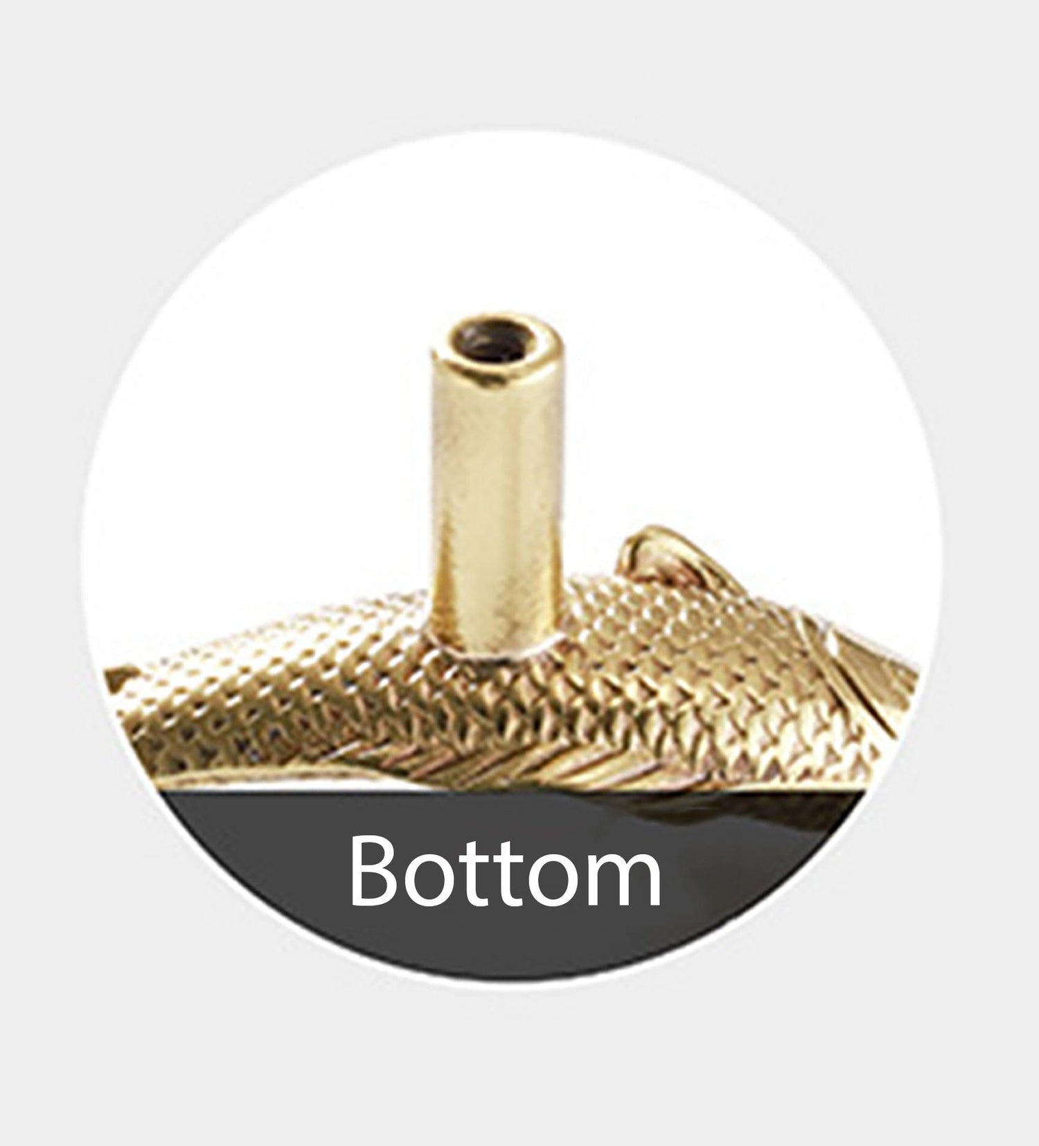 Pieces Knob Knob 72mm / Gold / Brass - M A N T A R A