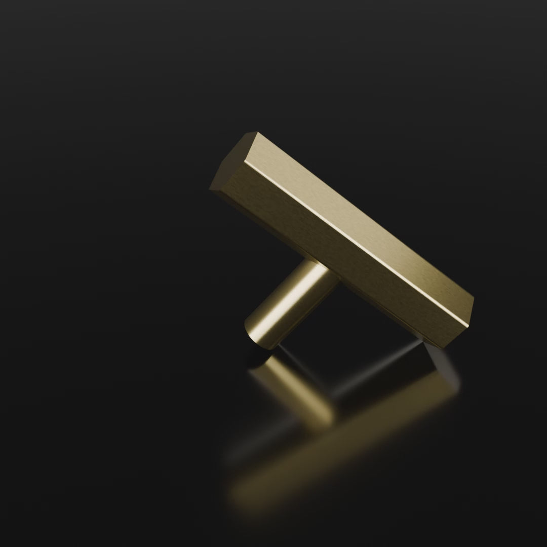 Oblivion T-bar  Handle