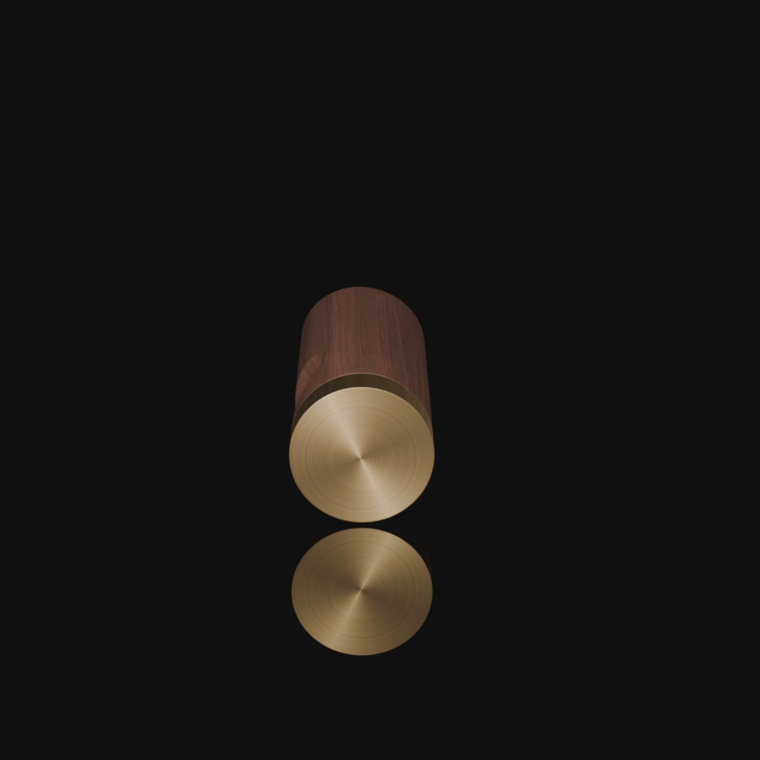 Mantara Flair Hook W-0013 is a natural wood &amp; brass wall hook in brown with polished finish, ideal for all rooms.