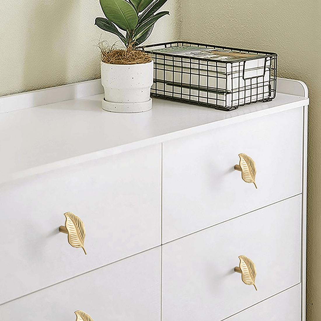 Ilai Knob Knob 65mm / Gold / Brass - M A N T A R A